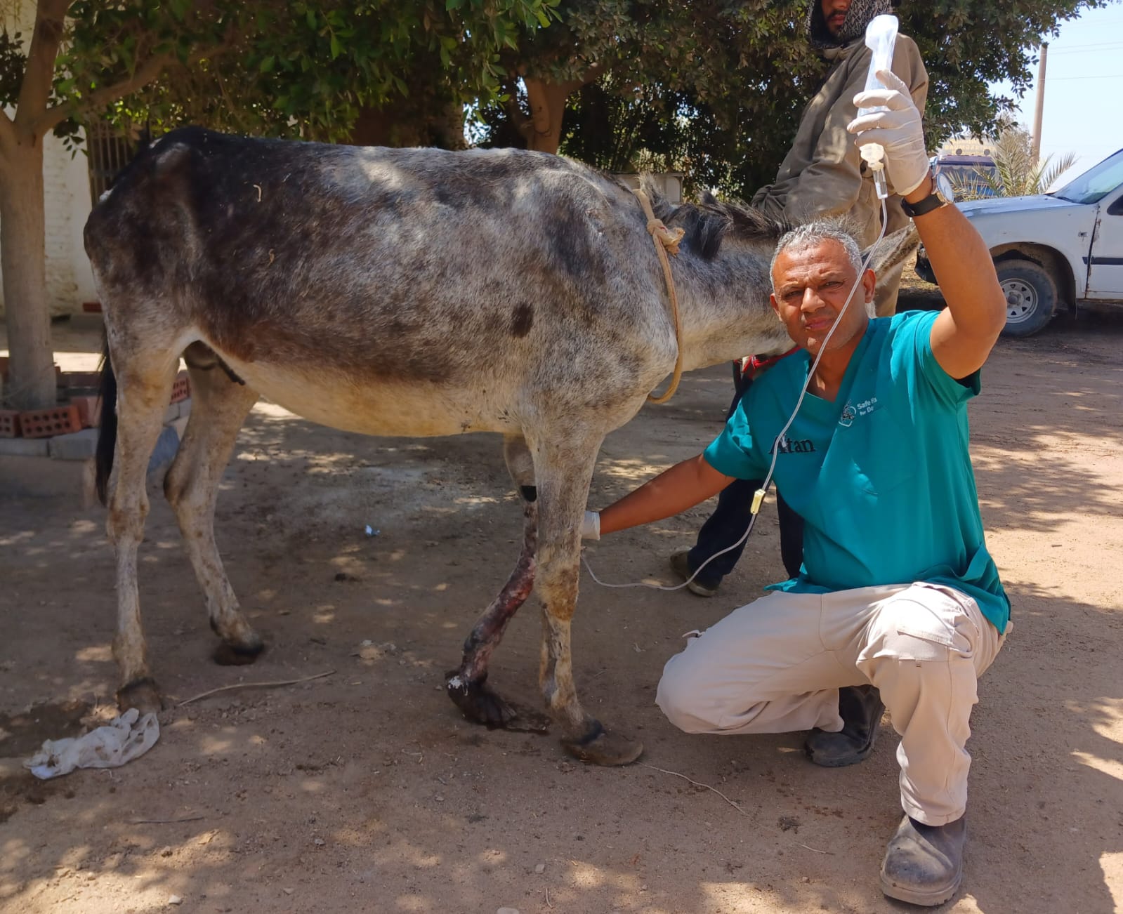 Our donkey update – 9th May 2024